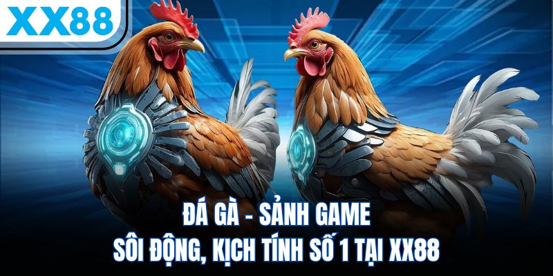 Đá Gà - Sảnh Game Sôi Động, Kịch Tính Số 1 Tại XX88